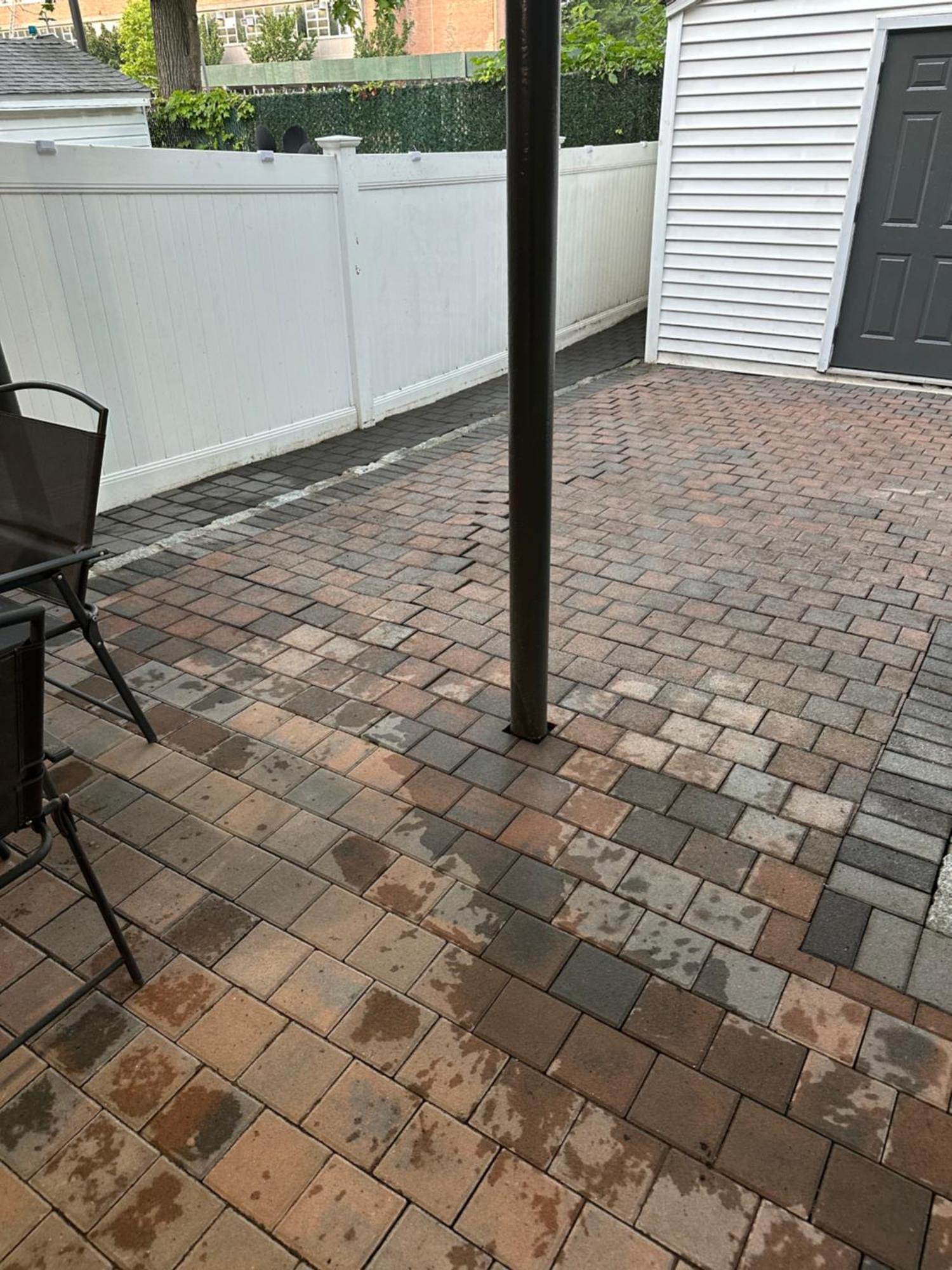 Morris Park Area Apartment New York Bagian luar foto